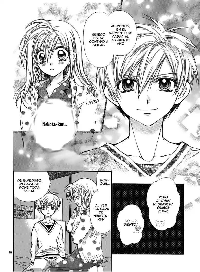 Neko to Watashi no Kinyoubi (2013) - Capítulo 24 - Página 17 - LectorTMOo