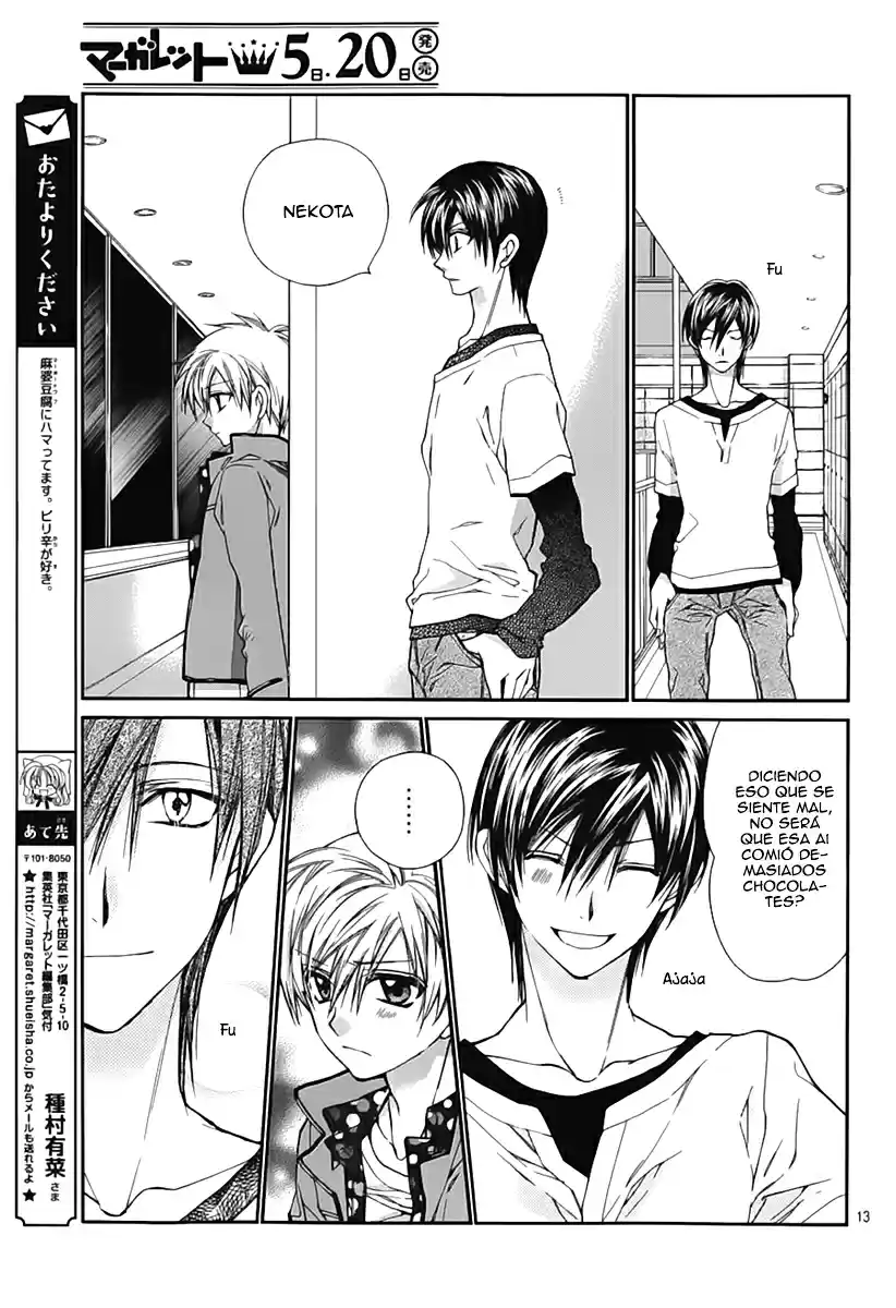 Neko to Watashi no Kinyoubi (2013) - Capítulo 31 - Página 14 - LectorTMOo
