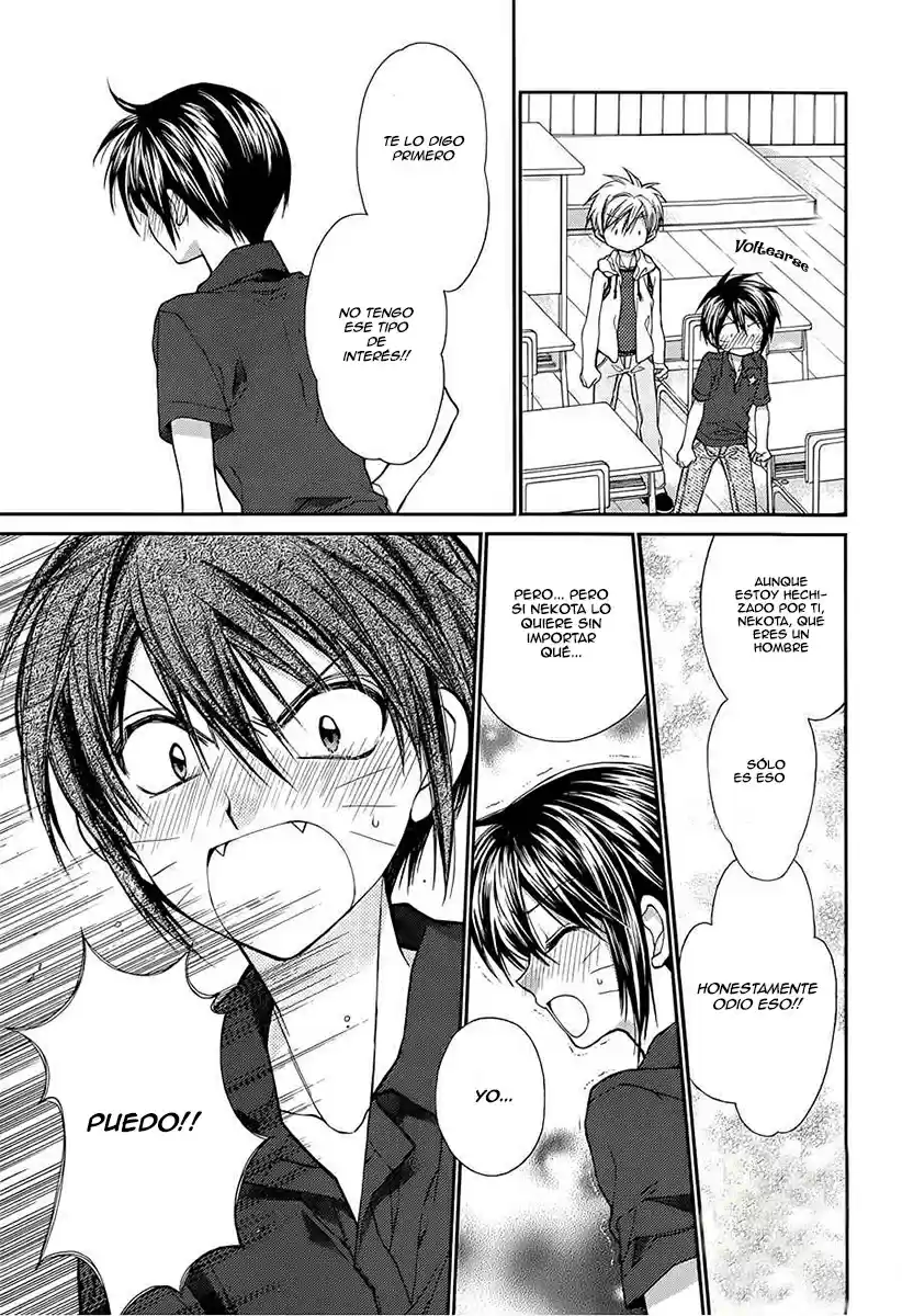 Neko to Watashi no Kinyoubi (2013) - Capítulo 33 - Página 17 - LectorTMOo