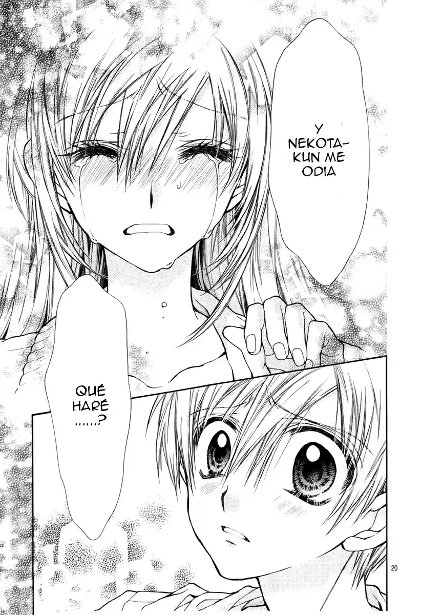 Neko to Watashi no Kinyoubi (2013) - Capítulo 35 - Página 20 - LectorTMOo