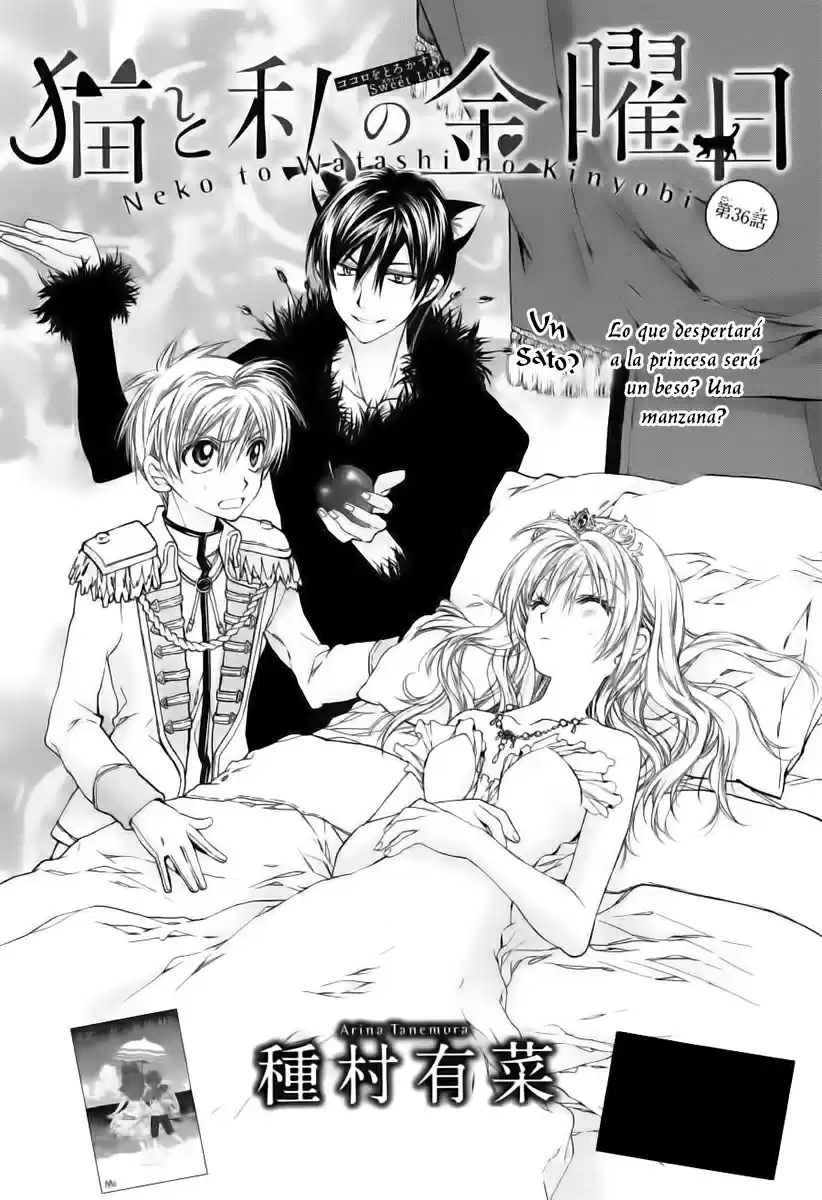 Neko to Watashi no Kinyoubi (2013) - Capítulo 36 - Página 2 - LectorTMOo