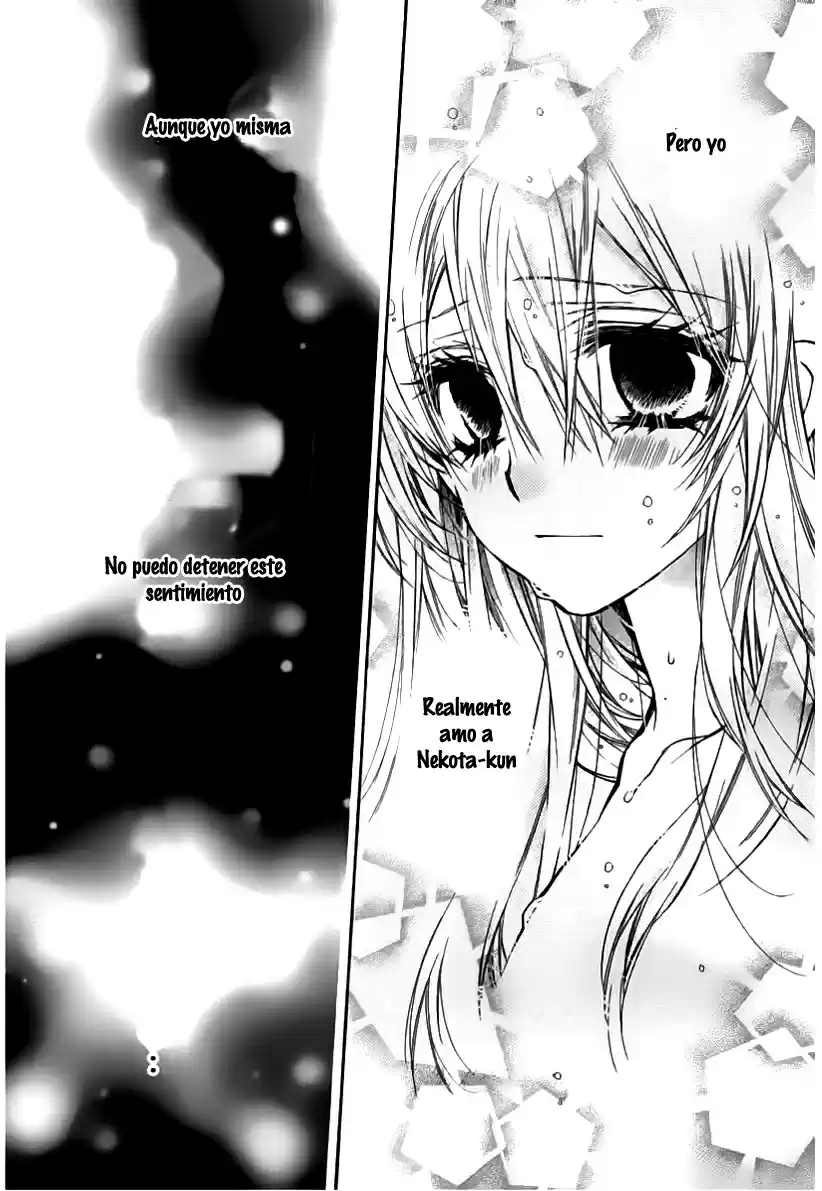 Neko to Watashi no Kinyoubi (2013) - Capítulo 41 - Página 15 - LectorTMOo