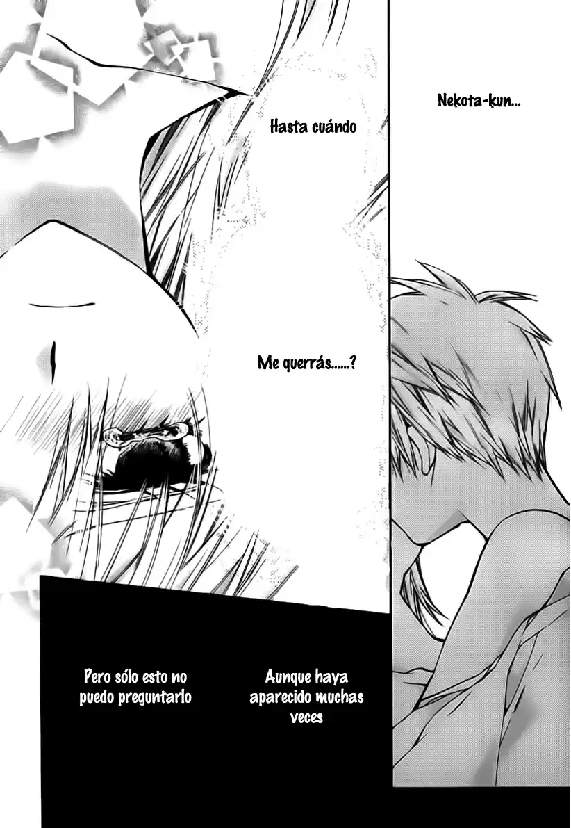 Neko to Watashi no Kinyoubi (2013) - Capítulo 41 - Página 30 - LectorTMOo