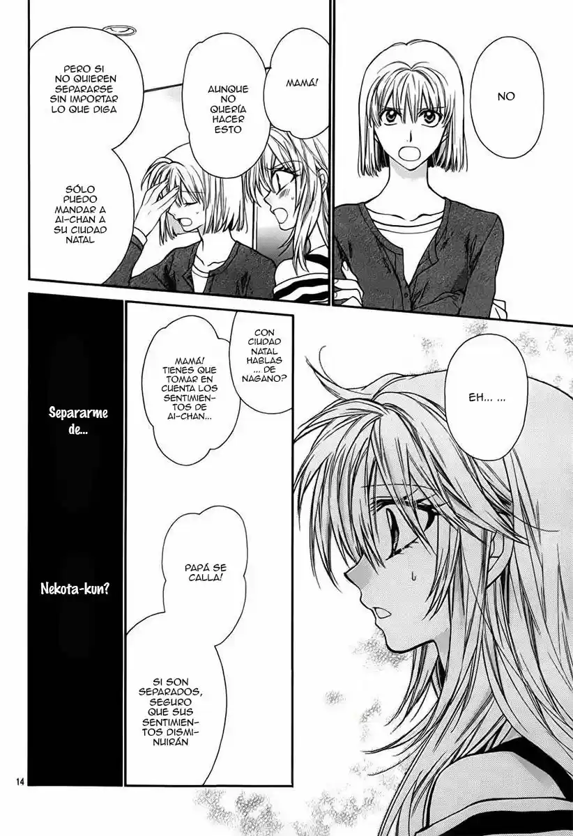 Neko to Watashi no Kinyoubi (2013) - Capítulo 42 - Página 16 - LectorTMOo