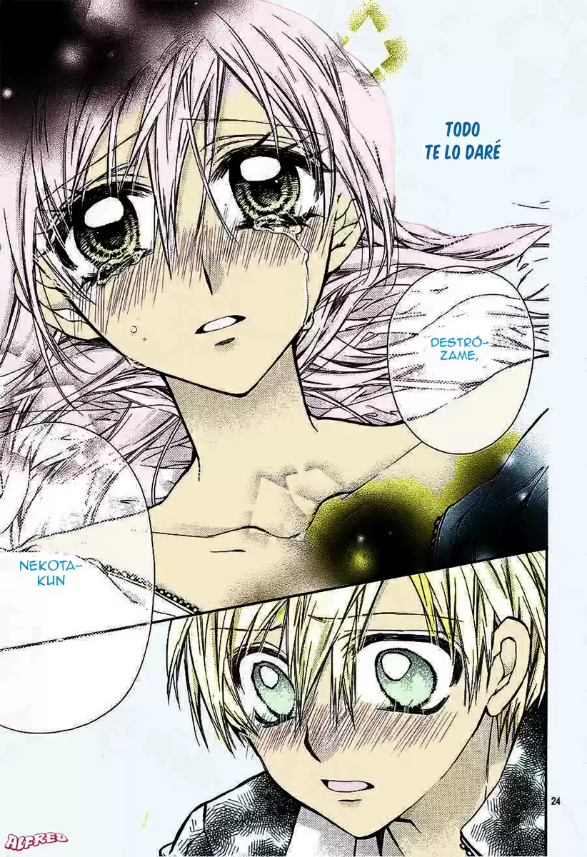 Neko to Watashi no Kinyoubi (2013) - Capítulo 45 - Página 24 - LectorTMOo