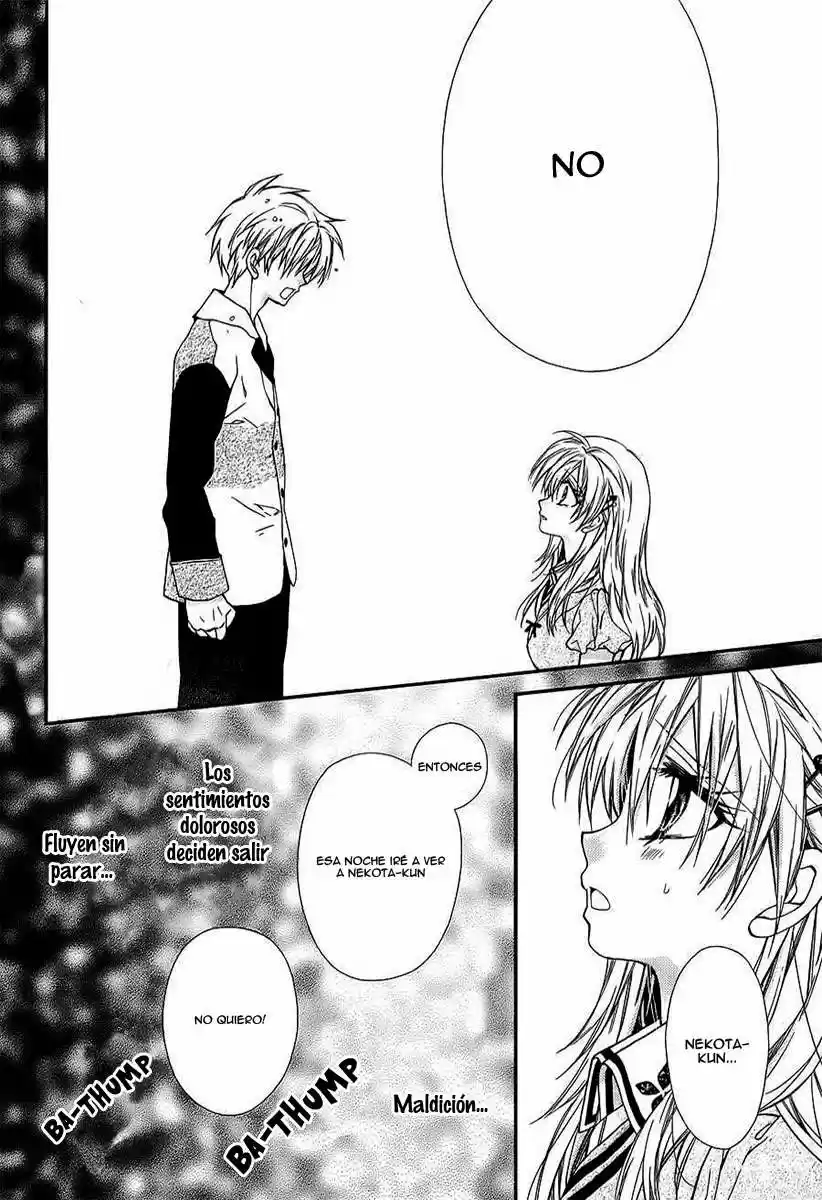 Neko to Watashi no Kinyoubi (2013) - Capítulo 48 - Página 22 - LectorTMOo