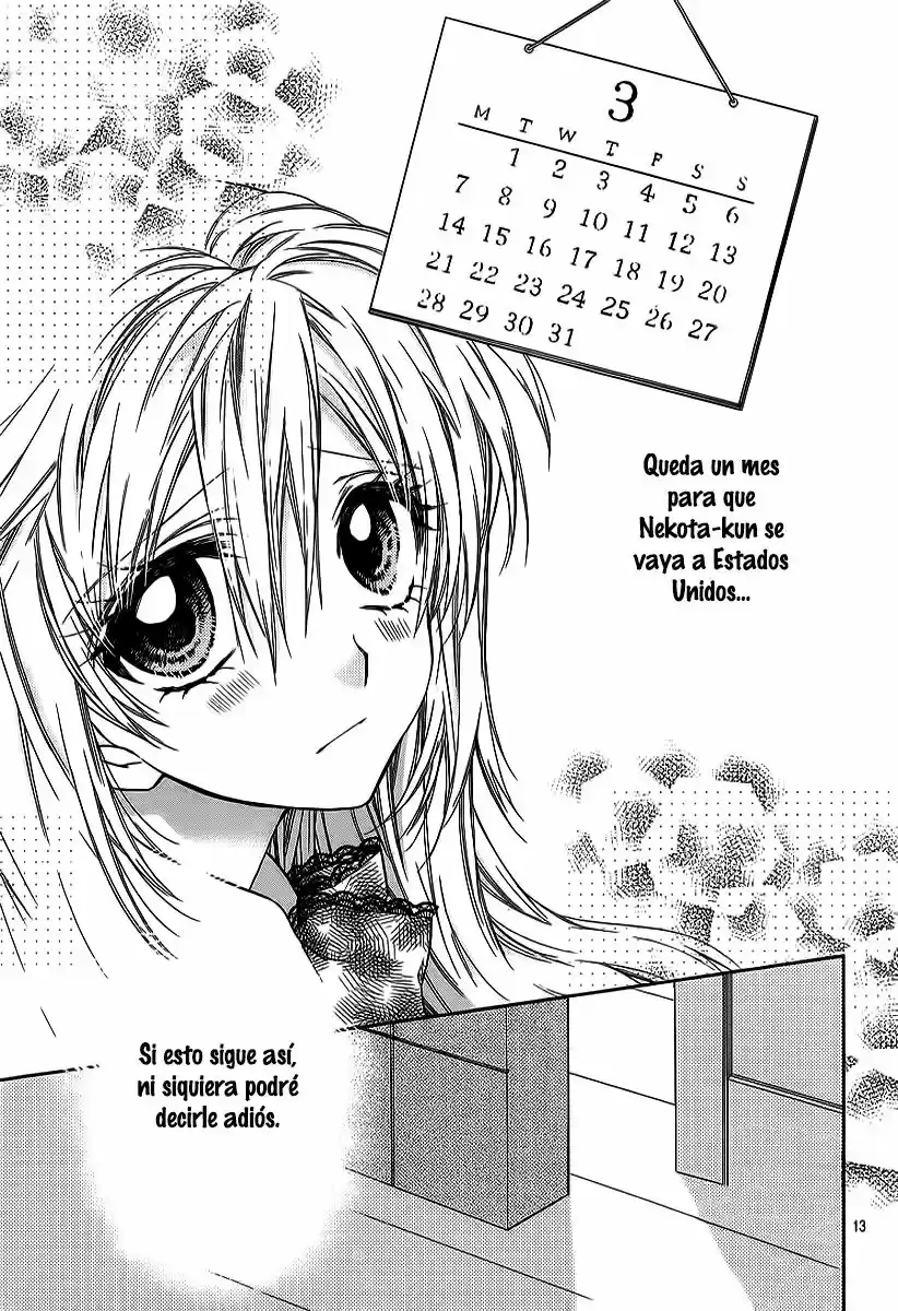 Neko to Watashi no Kinyoubi (2013) - Capítulo 60 - Página 14 - LectorTMOo