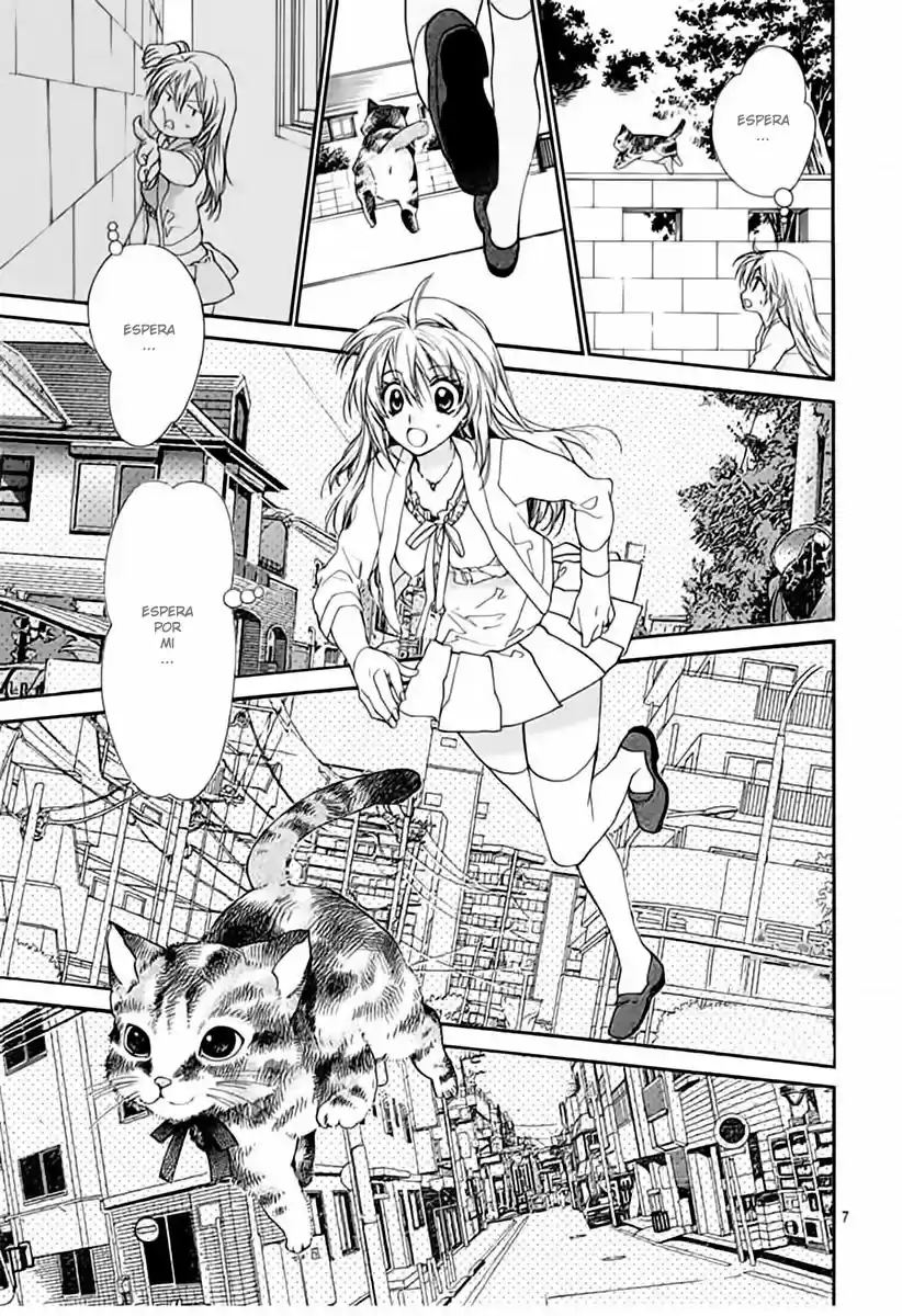 Neko to Watashi no Kinyoubi (2013) - Capítulo 64 - Página 9 - LectorTMOo