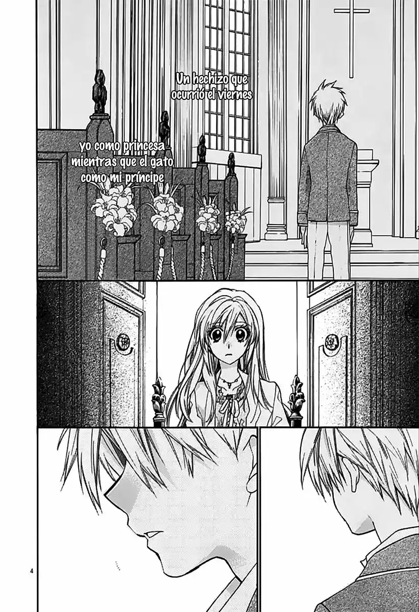 Neko to Watashi no Kinyoubi (2013) - Capítulo 65 - Página 5 - LectorTMOo