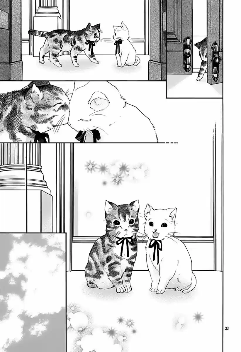 Neko to Watashi no Kinyoubi (2013) - Capítulo 65 - Página 34 - LectorTMOo