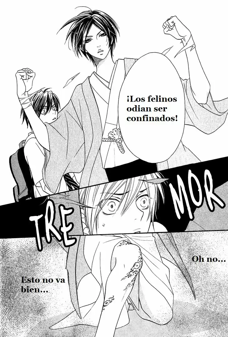 Nekoka Danshi No Shitsukekata (2009) - Capítulo 3 - Página 21 - LectorTMOo