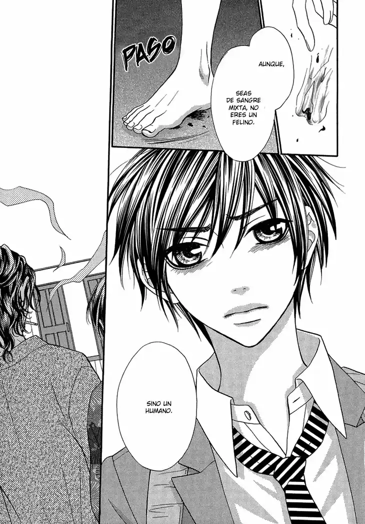 Nekoka Danshi No Shitsukekata (2009) - Capítulo 8 - Página 19 - LectorTMOo
