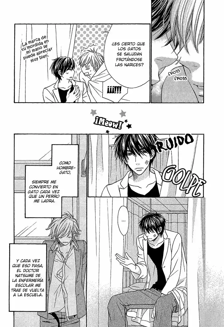 Nekoka Kareshi no Ayashikata (2010) - Capítulo 3 - Página 6 - LectorTMOo