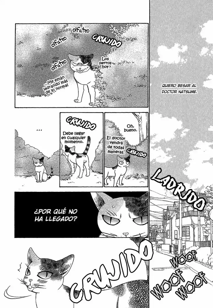 Nekoka Kareshi no Ayashikata (2010) - Capítulo 3 - Página 8 - LectorTMOo