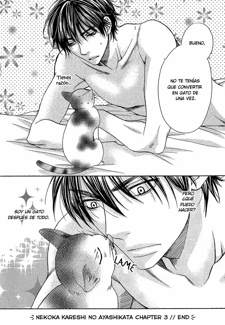 Nekoka Kareshi no Ayashikata (2010) - Capítulo 3 - Página 33 - LectorTMOo