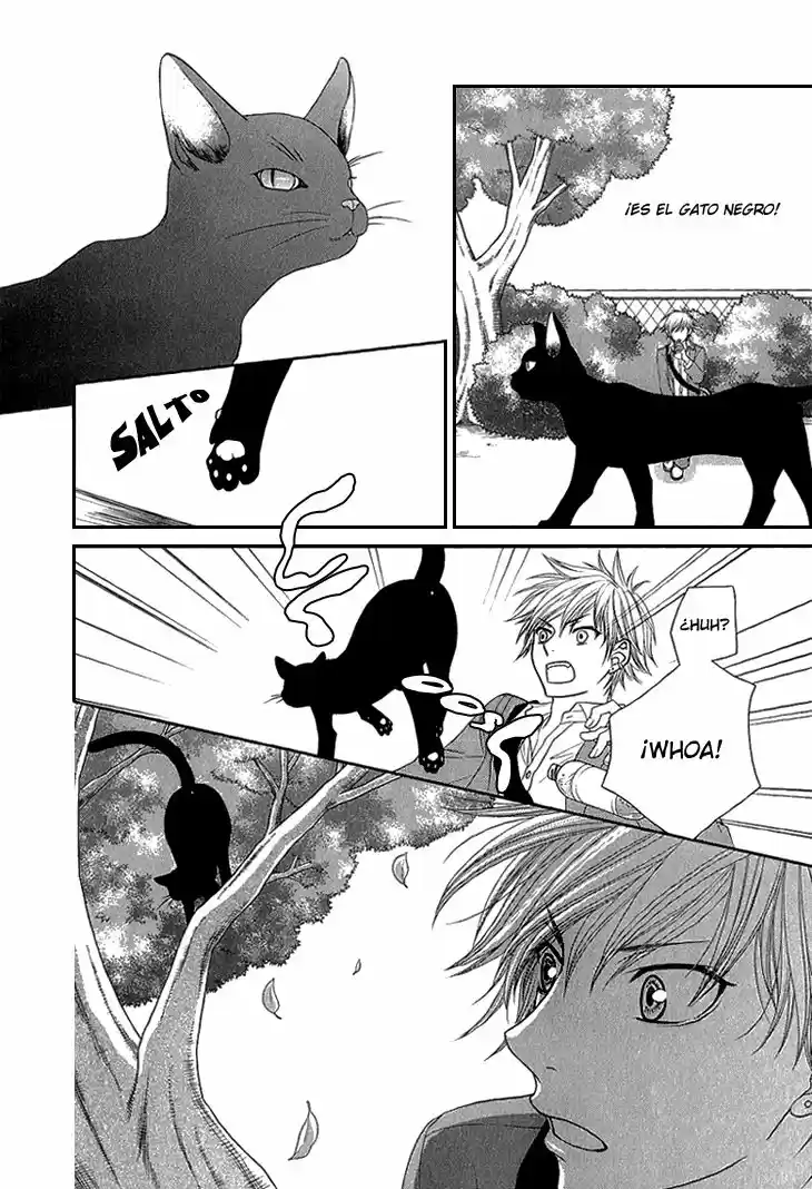 Nekoka Kareshi no Ayashikata (2010) - Capítulo 4 - Página 15 - LectorTMOo