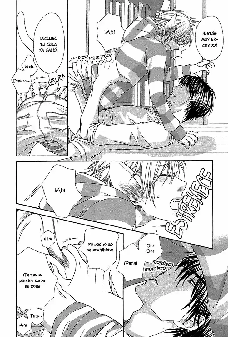 Nekoka Kareshi no Ayashikata (2010) - Capítulo 6.5 - Página 5 - LectorTMOo