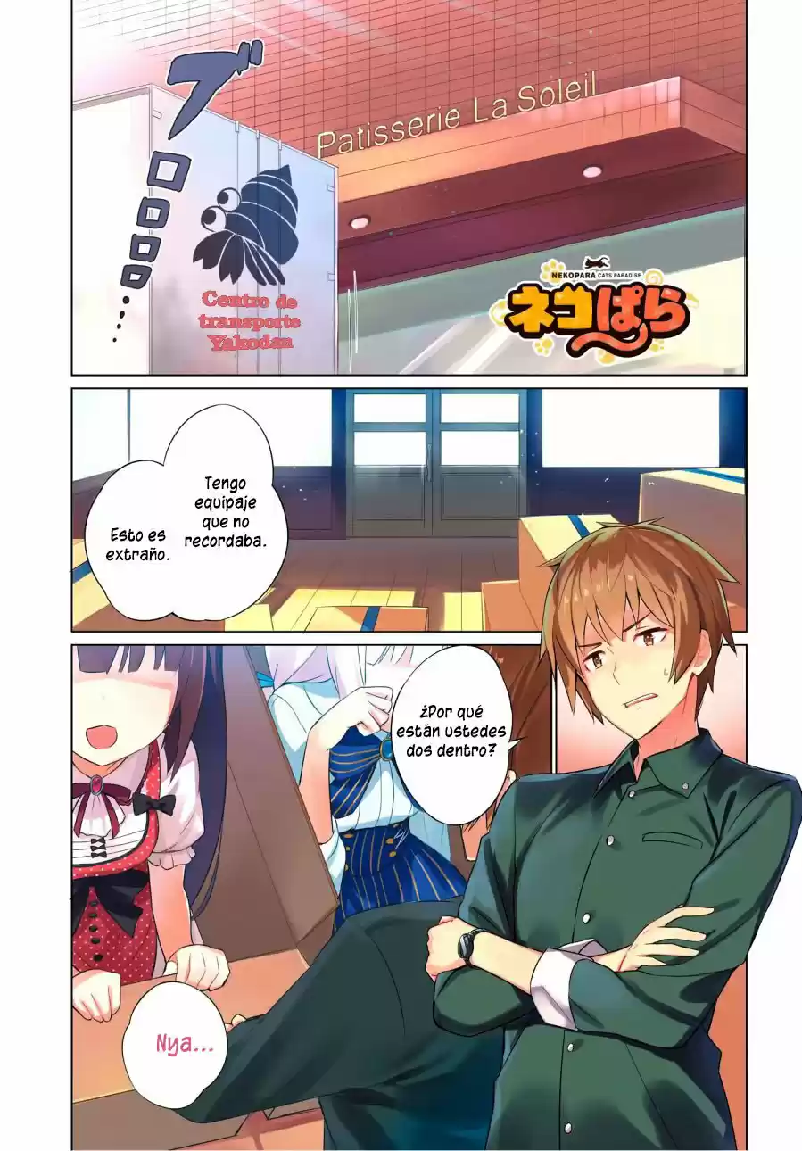 Nekopara (2018) - Capítulo 1 - Página 2 - LectorTMOo