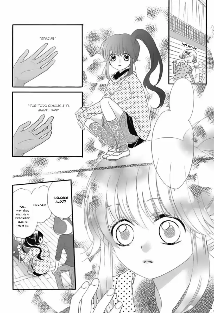 Nekota no Koto ga Kininatte Shikatanai (2016) - Capítulo 14 - Página 25 - LectorTMOo