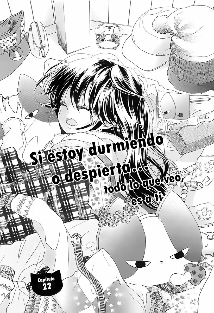 Nekota no Koto ga Kininatte Shikatanai (2016) - Capítulo 22 - Página 4 - LectorTMOo