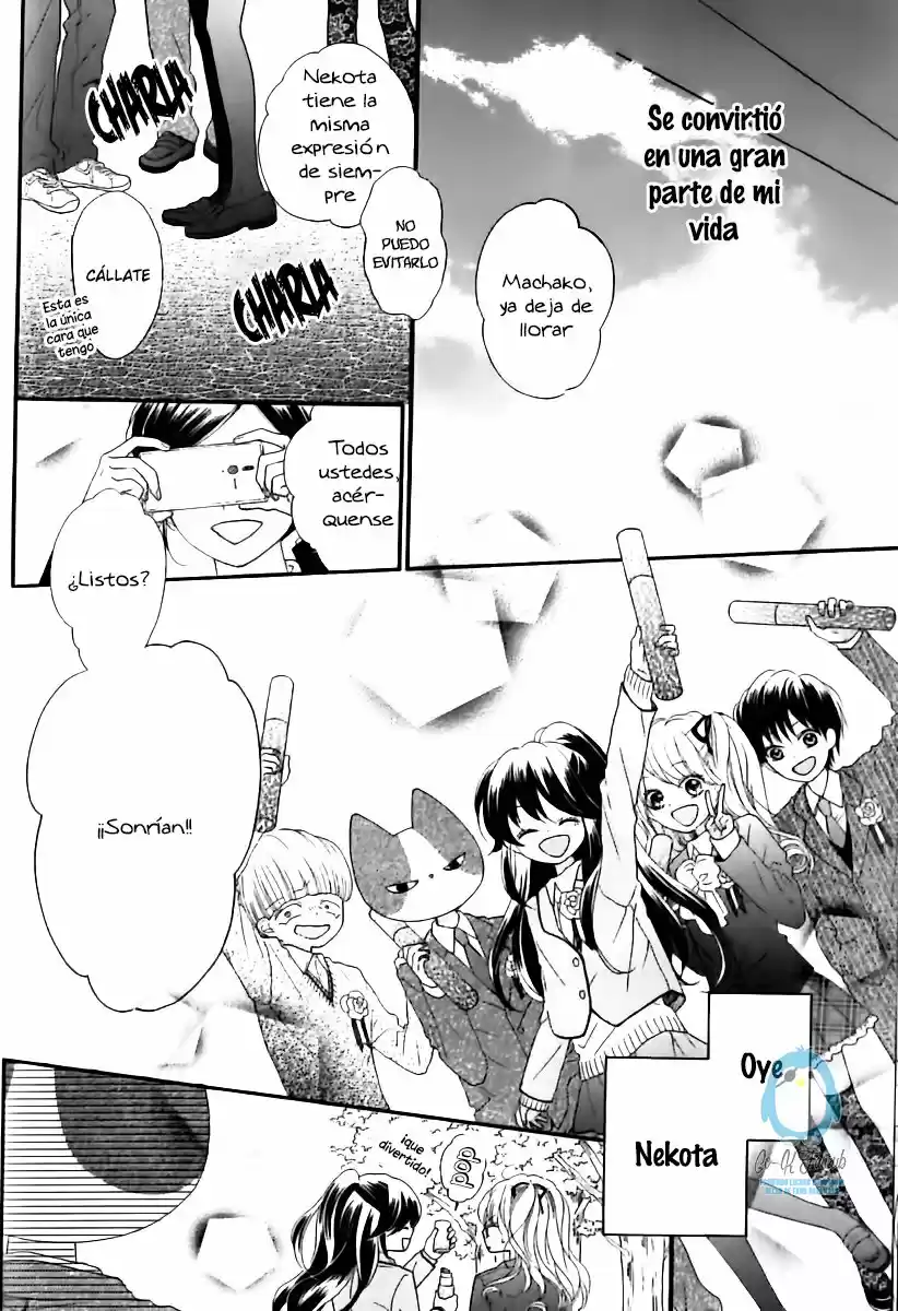 Nekota no Koto ga Kininatte Shikatanai (2016) - Capítulo 24 - Página 37 - LectorTMOo