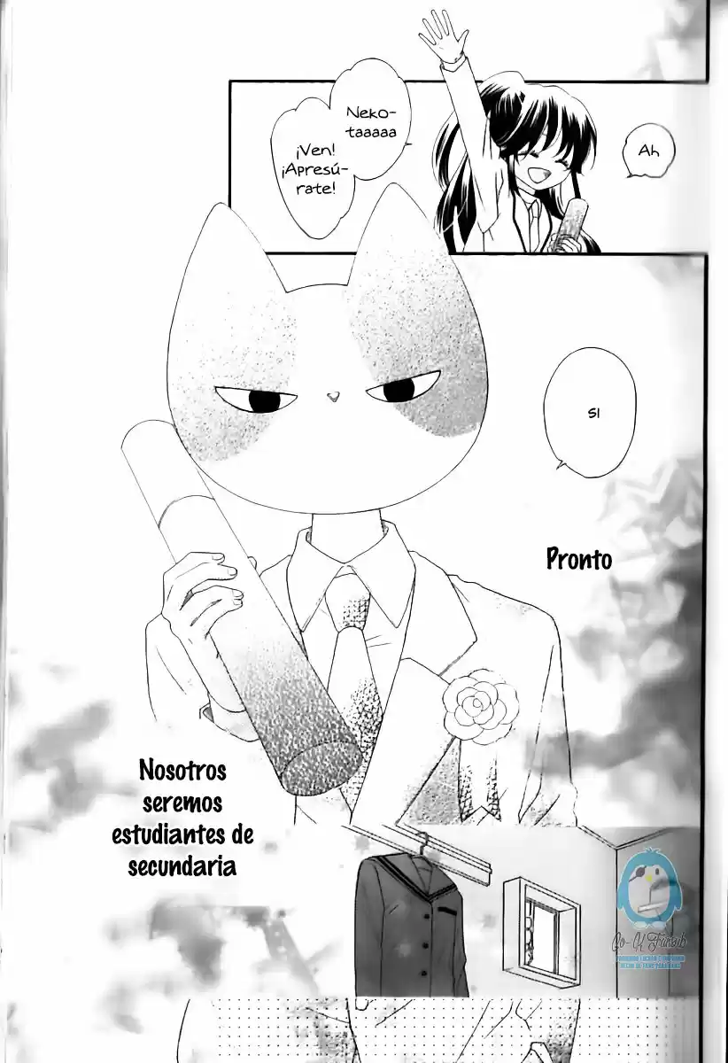 Nekota no Koto ga Kininatte Shikatanai (2016) - Capítulo 24 - Página 38 - LectorTMOo