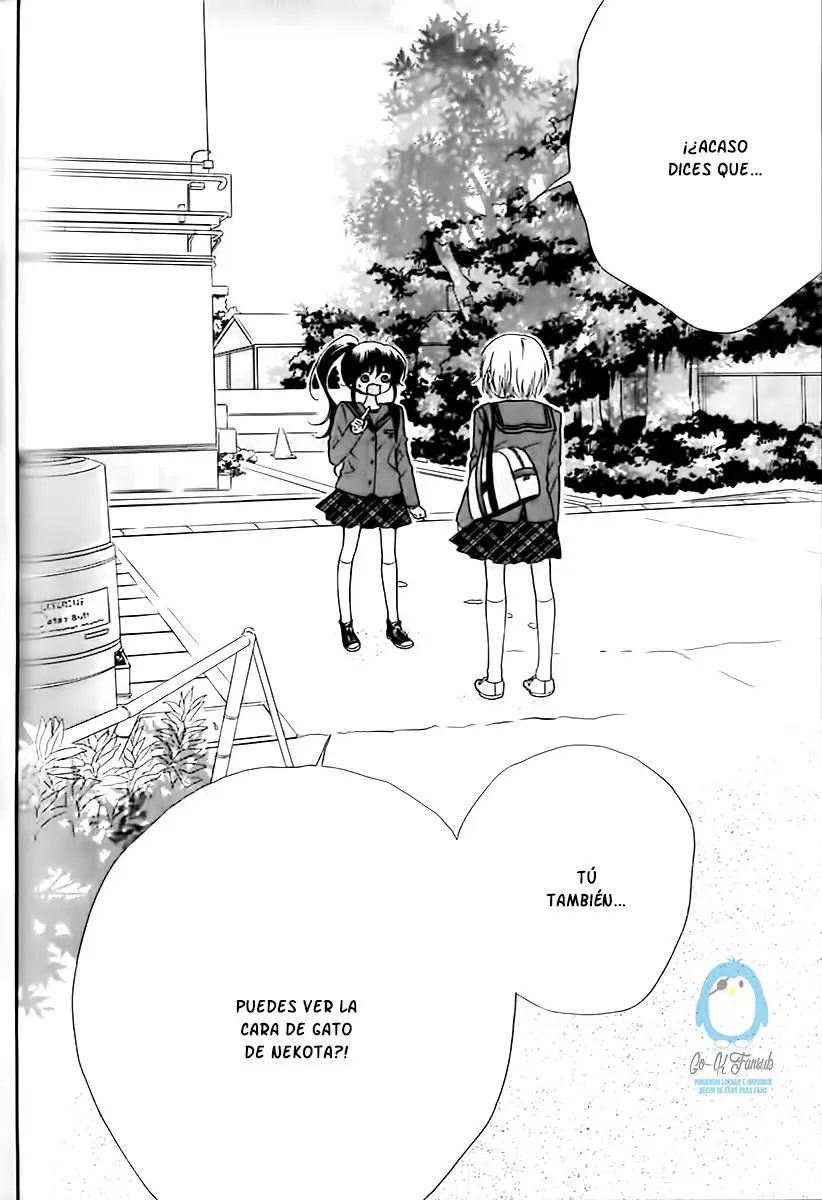 Nekota no Koto ga Kininatte Shikatanai (2016) - Capítulo 25 - Página 41 - LectorTMOo