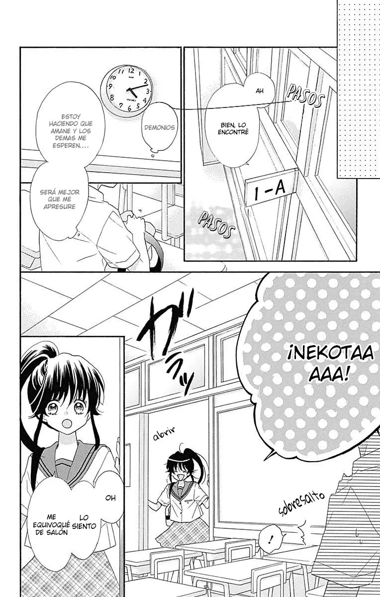 Nekota no Koto ga Kininatte Shikatanai (2016) - Capítulo 38 - Página 33 - LectorTMOo