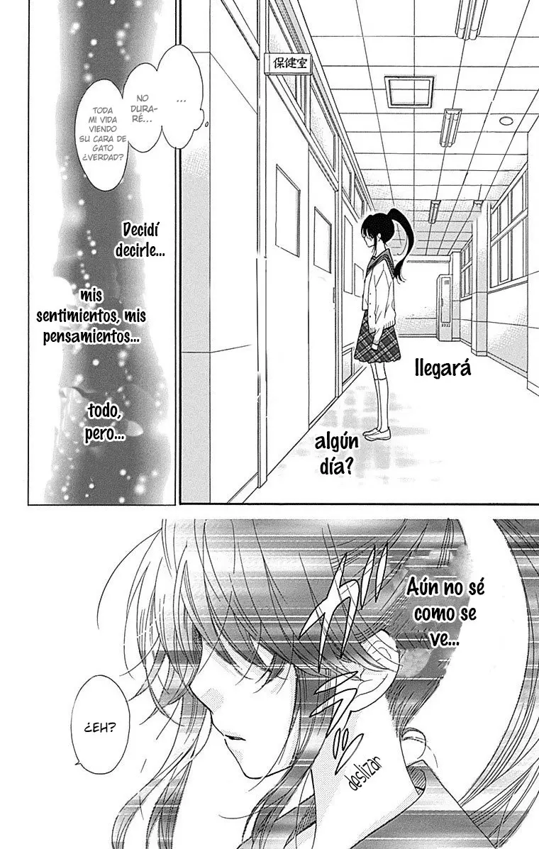 Nekota no Koto ga Kininatte Shikatanai (2016) - Capítulo 43 - Página 19 - LectorTMOo