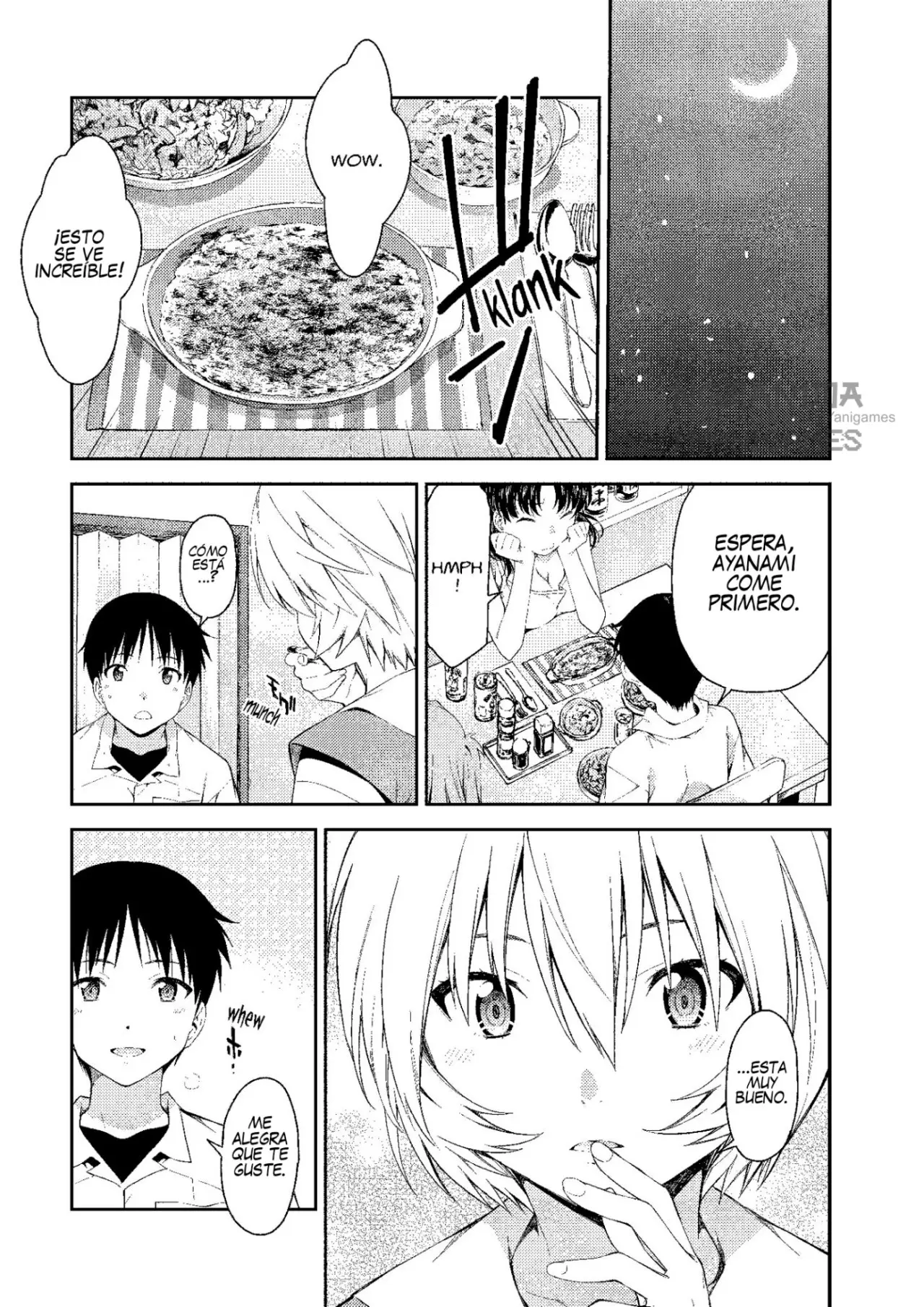 Neon Genesis Evangelion: Ikari Shinji Ikusei Keikaku (2003) - Capítulo 109 - Página 17 - LectorTMOo