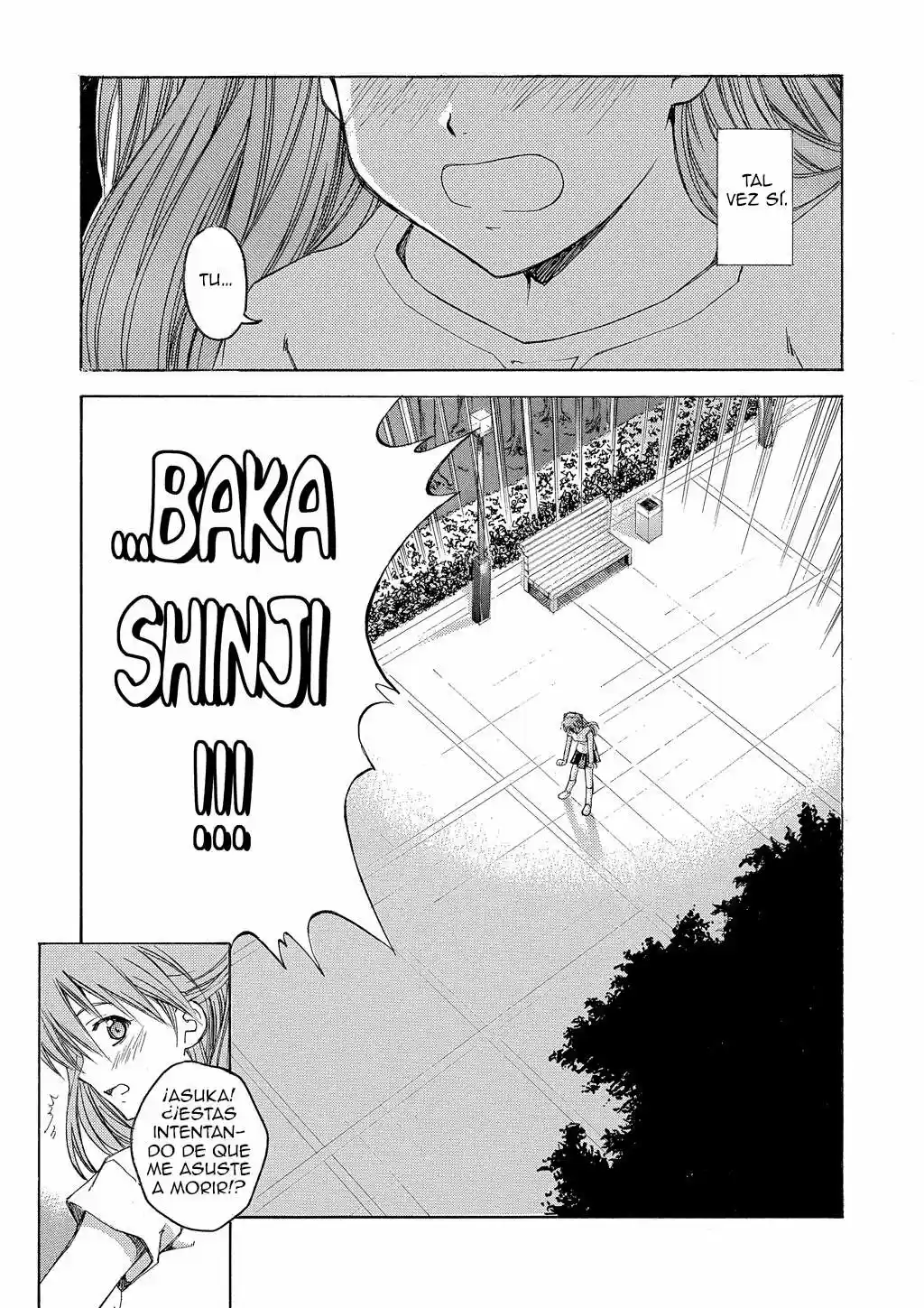 Neon Genesis Evangelion: Ikari Shinji Ikusei Keikaku (2003) - Capítulo 15 - Página 21 - LectorTMOo