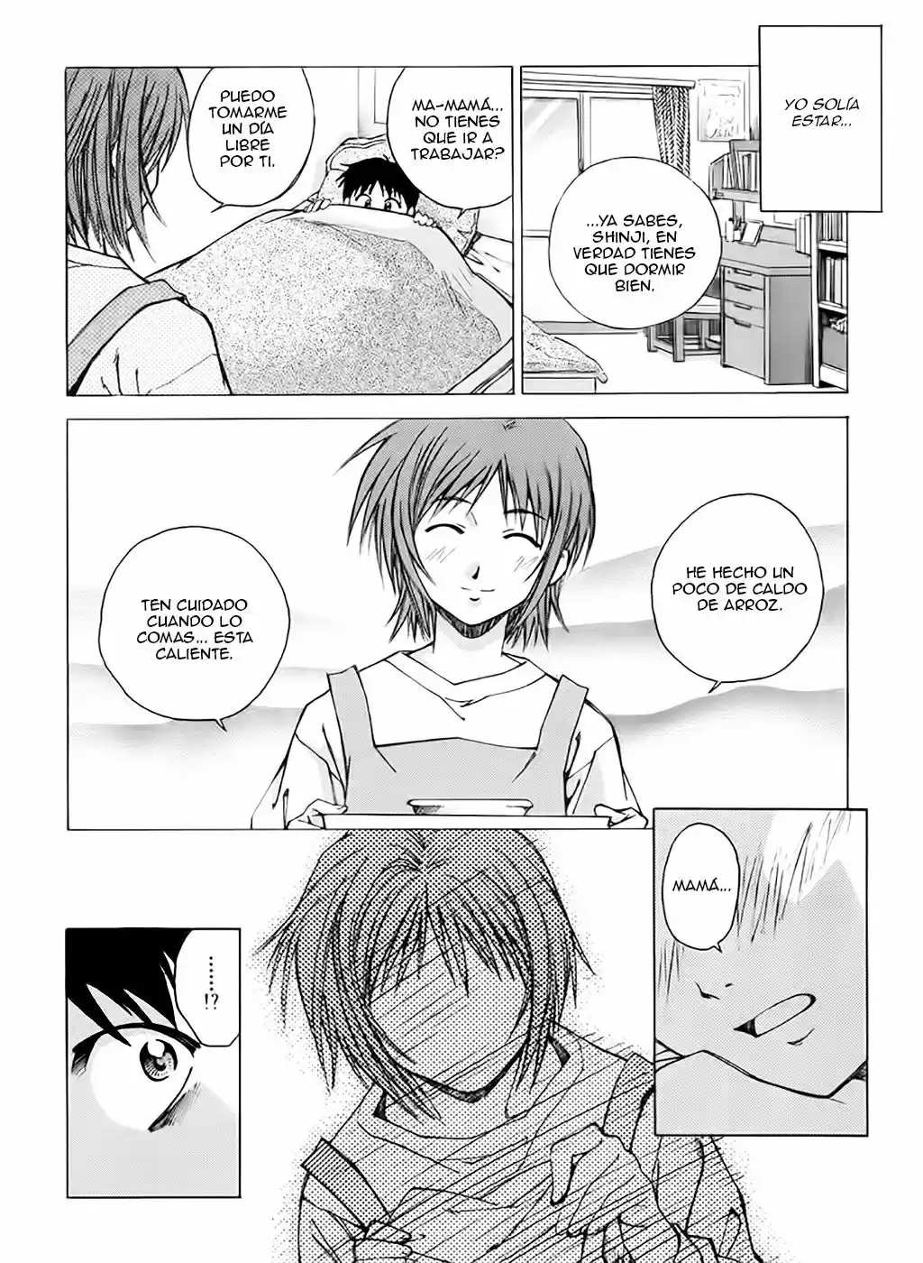 Neon Genesis Evangelion: Ikari Shinji Ikusei Keikaku (2003) - Capítulo 19 - Página 17 - LectorTMOo