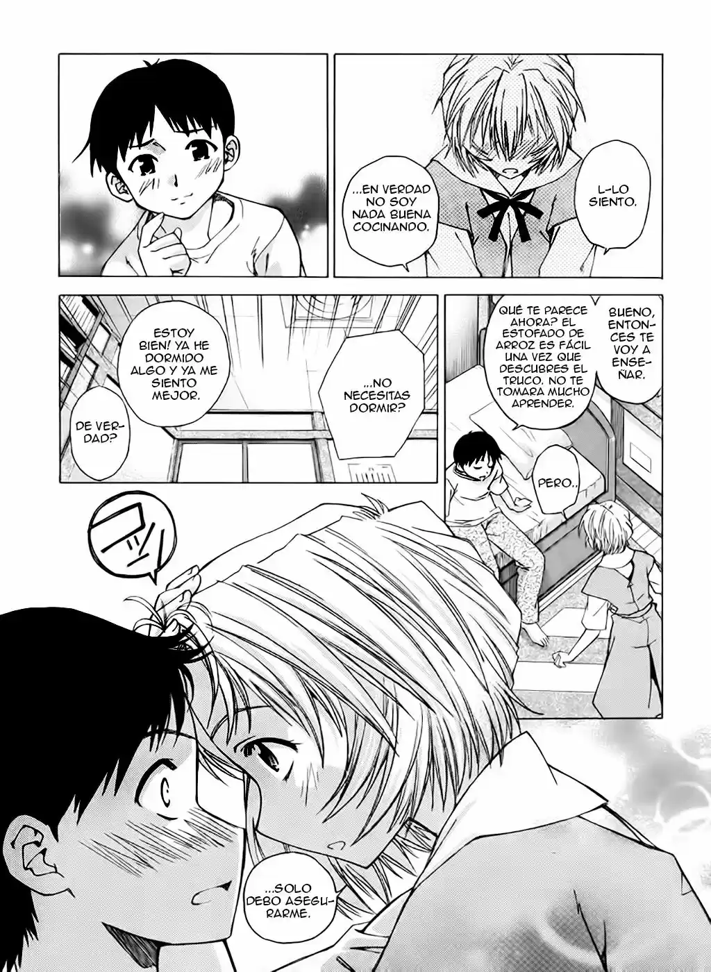 Neon Genesis Evangelion: Ikari Shinji Ikusei Keikaku (2003) - Capítulo 19 - Página 22 - LectorTMOo