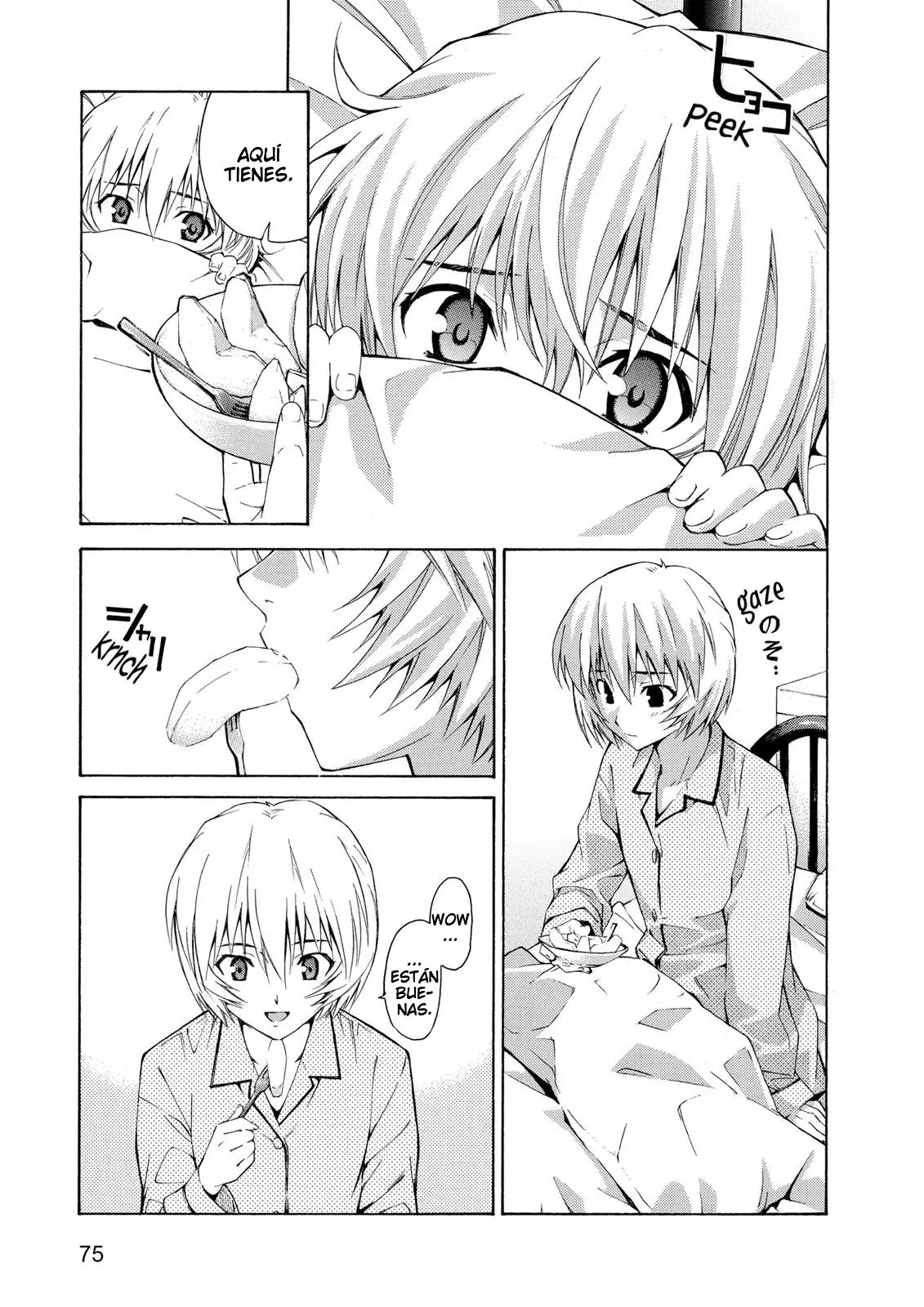 Neon Genesis Evangelion: Ikari Shinji Ikusei Keikaku (2003) - Capítulo 57 - Página 17 - LectorTMOo