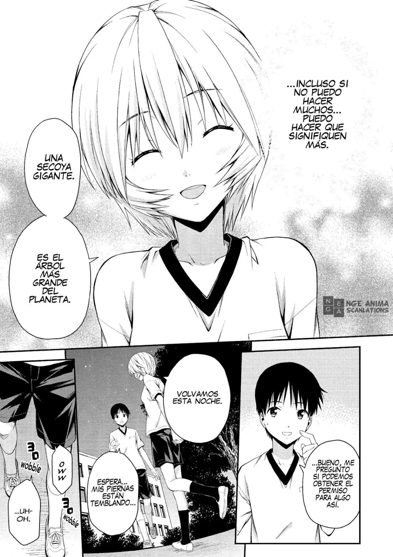 Neon Genesis Evangelion: Ikari Shinji Ikusei Keikaku (2003) - Capítulo 86 - Página 25 - LectorTMOo