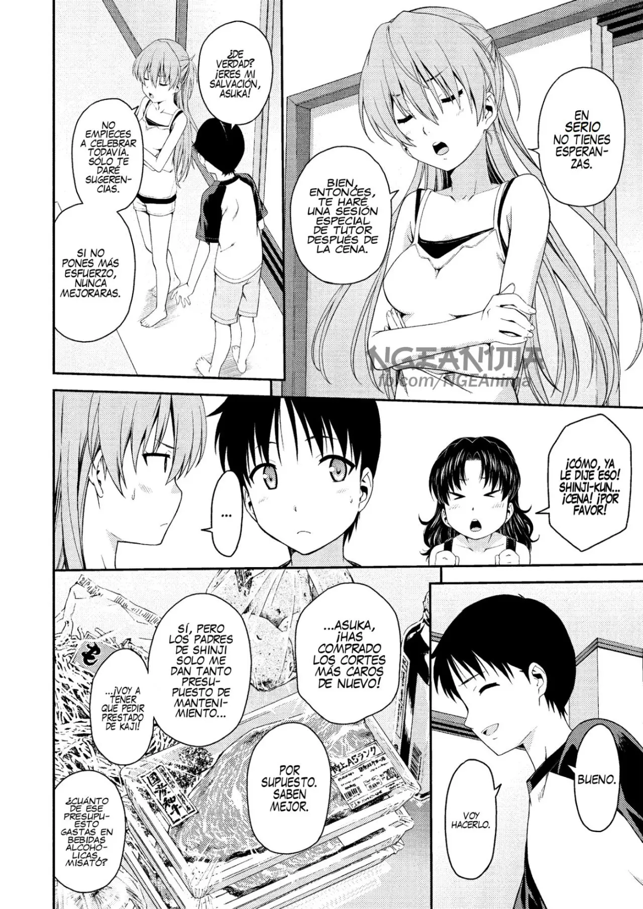 Neon Genesis Evangelion: Ikari Shinji Ikusei Keikaku (2003) - Capítulo 89 - Página 15 - LectorTMOo