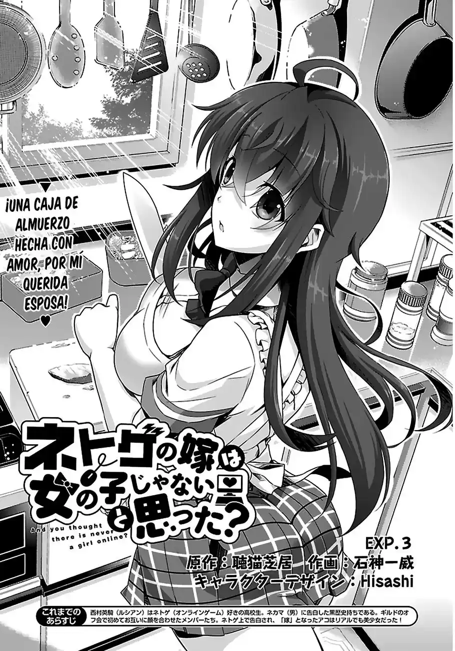 Netoge no Yome wa Onna no Ko ja nai to Omotta? (2014) - Capítulo 3 - Página 5 - LectorTMOo