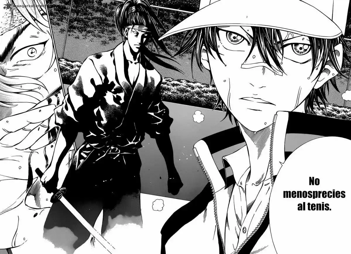 New Prince of Tennis (2009) - Capítulo 125 - Página 15 - LectorTMOo