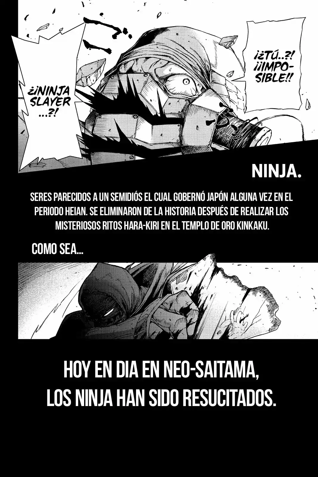 Ninja Slayer Setsu (2013) - Capítulo 2 - Página 5 - LectorTMOo
