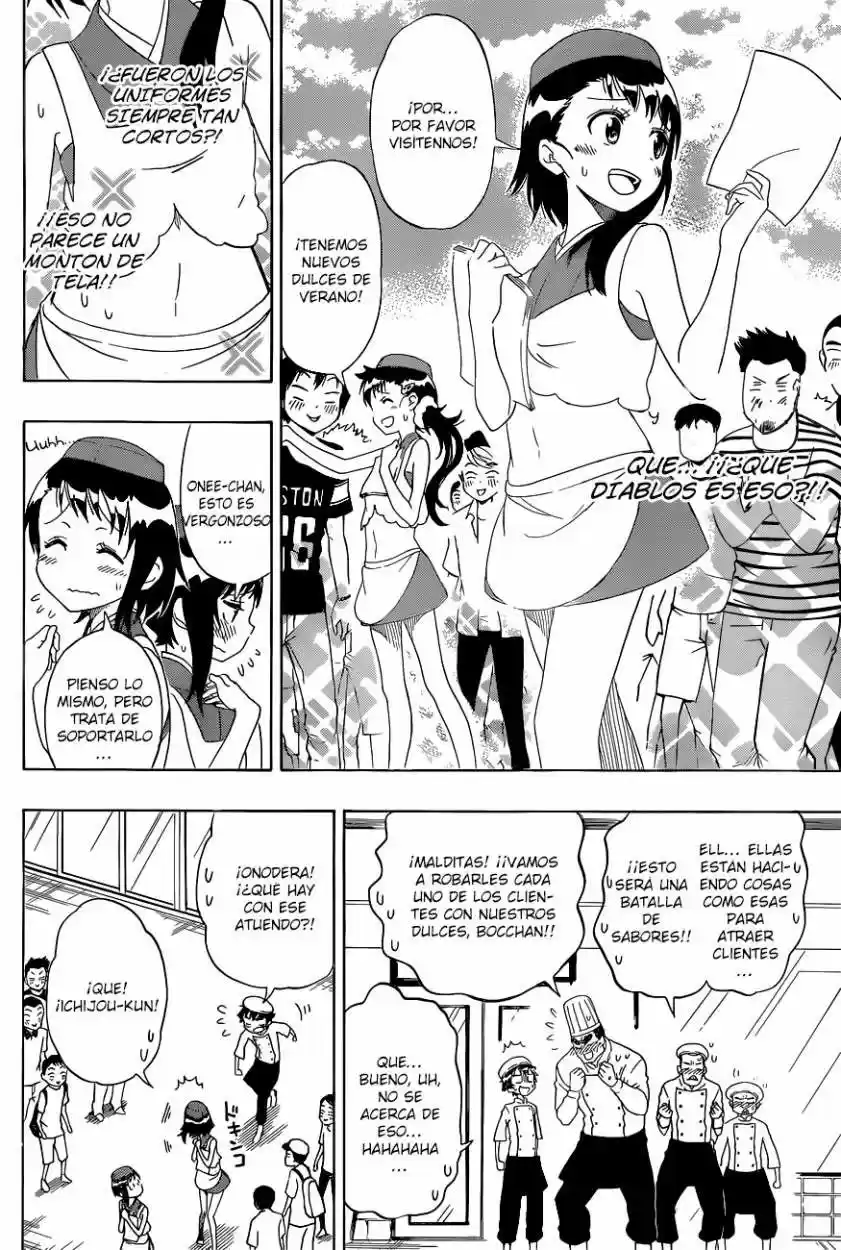 Nisekoi (2011) - Capítulo 101 - Página 15 - LectorTMOo