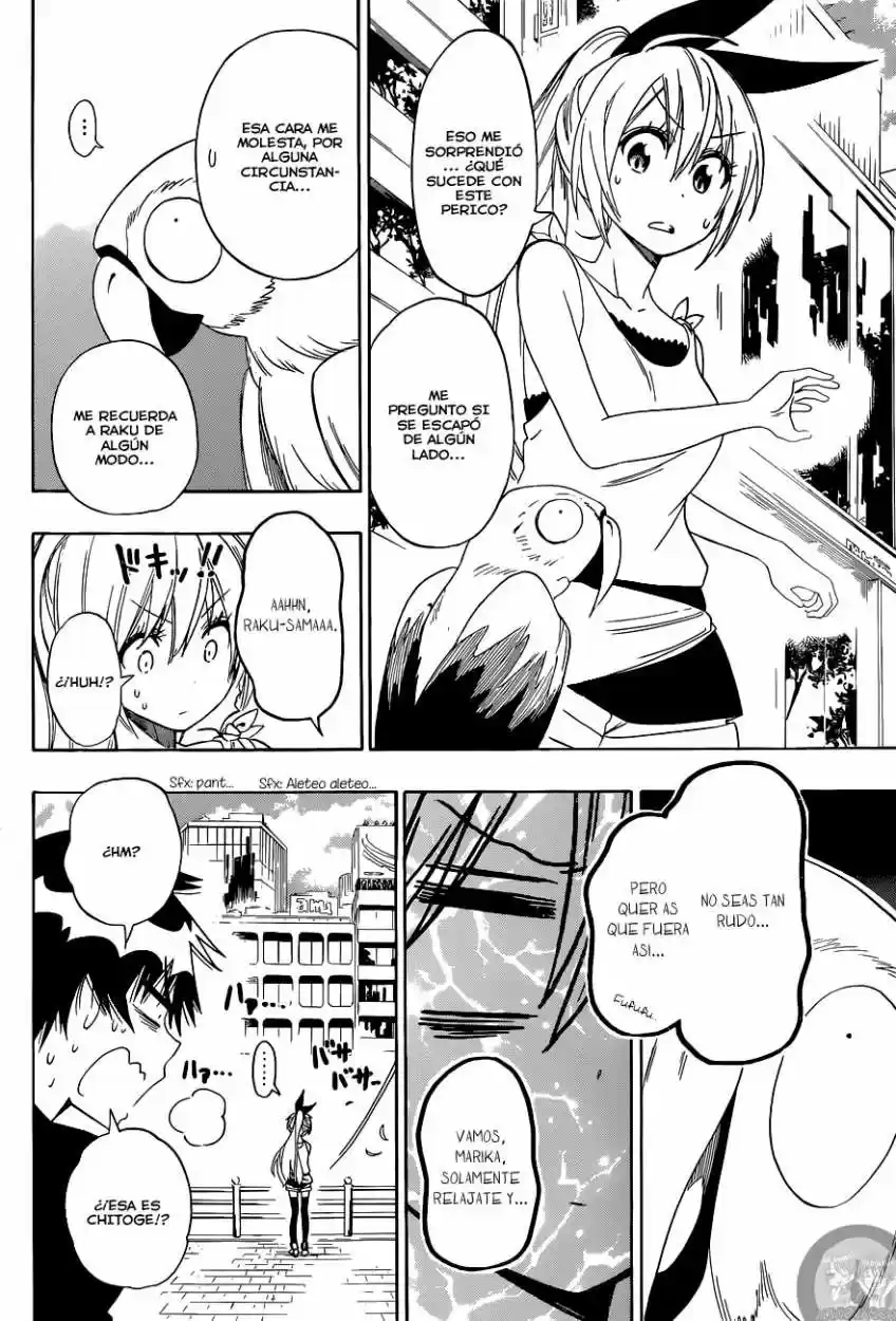 Nisekoi (2011) - Capítulo 104 - Página 11 - LectorTMOo