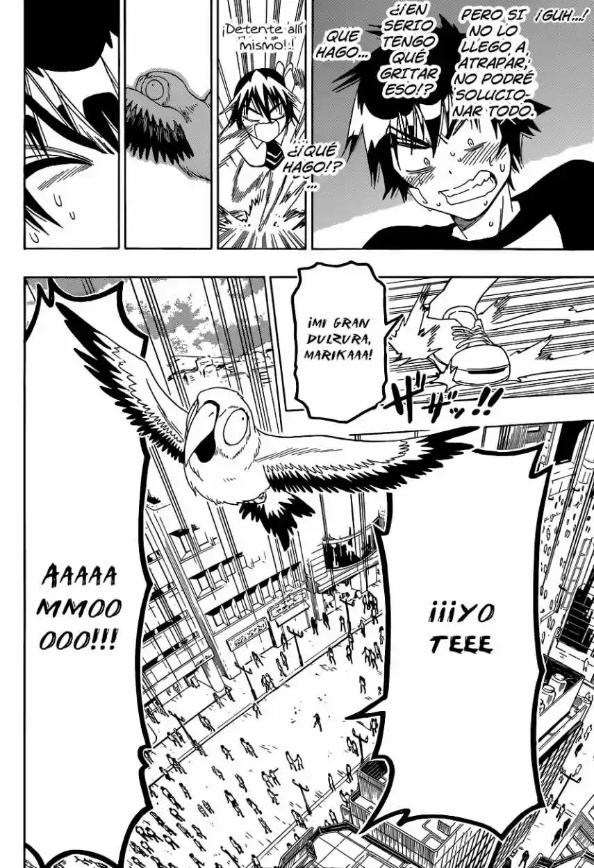 Nisekoi (2011) - Capítulo 104 - Página 17 - LectorTMOo