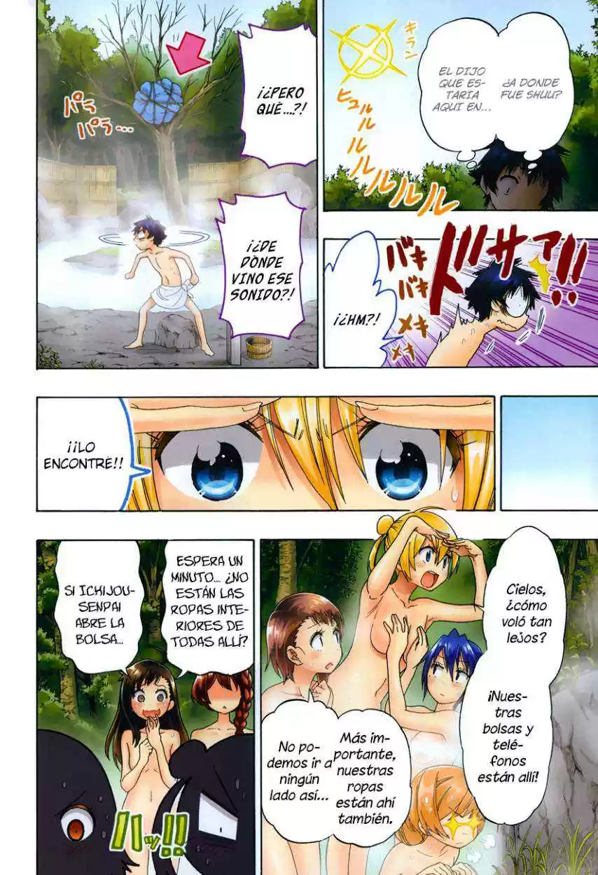 Nisekoi (2011) - Capítulo 105.05 - Página 11 - LectorTMOo