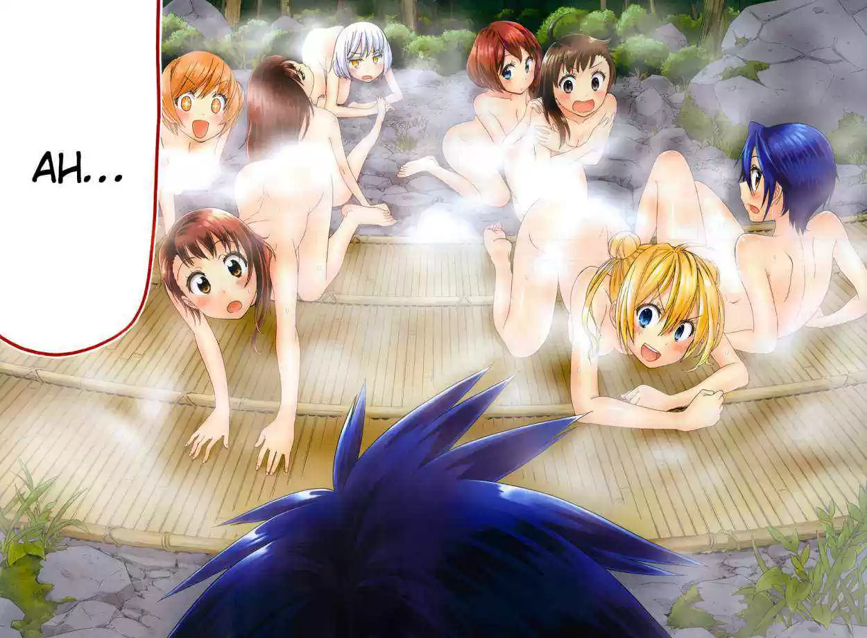 Nisekoi (2011) - Capítulo 105.05 - Página 17 - LectorTMOo