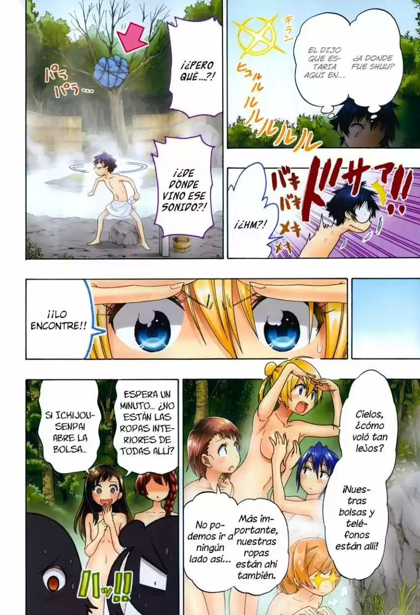 Nisekoi (2011) - Capítulo 105.5 - Página 11 - LectorTMOo