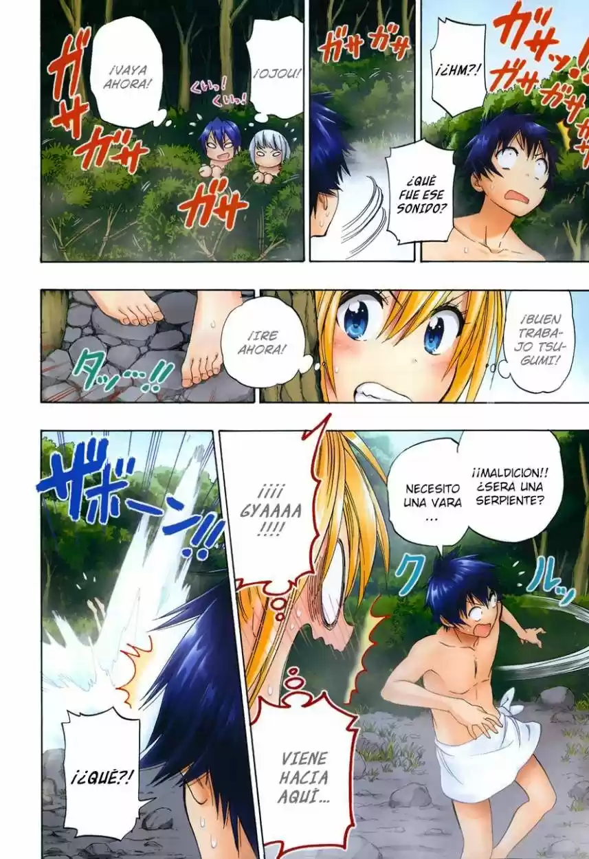 Nisekoi (2011) - Capítulo 105.5 - Página 13 - LectorTMOo