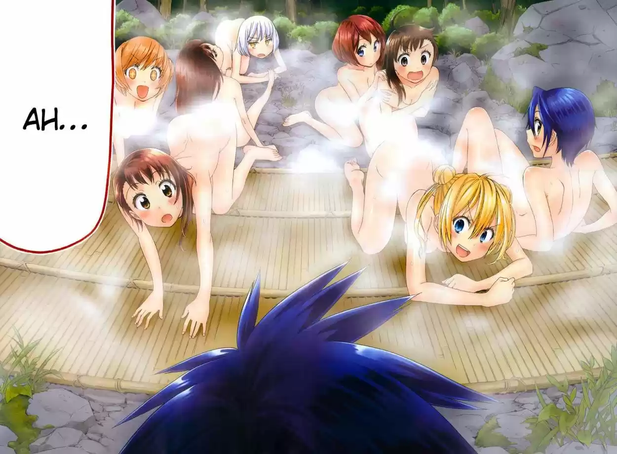 Nisekoi (2011) - Capítulo 105.5 - Página 17 - LectorTMOo