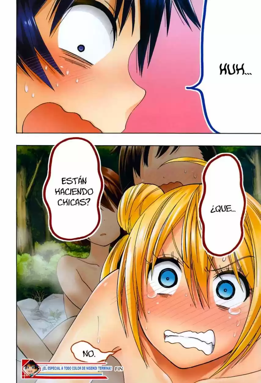 Nisekoi (2011) - Capítulo 105.5 - Página 18 - LectorTMOo
