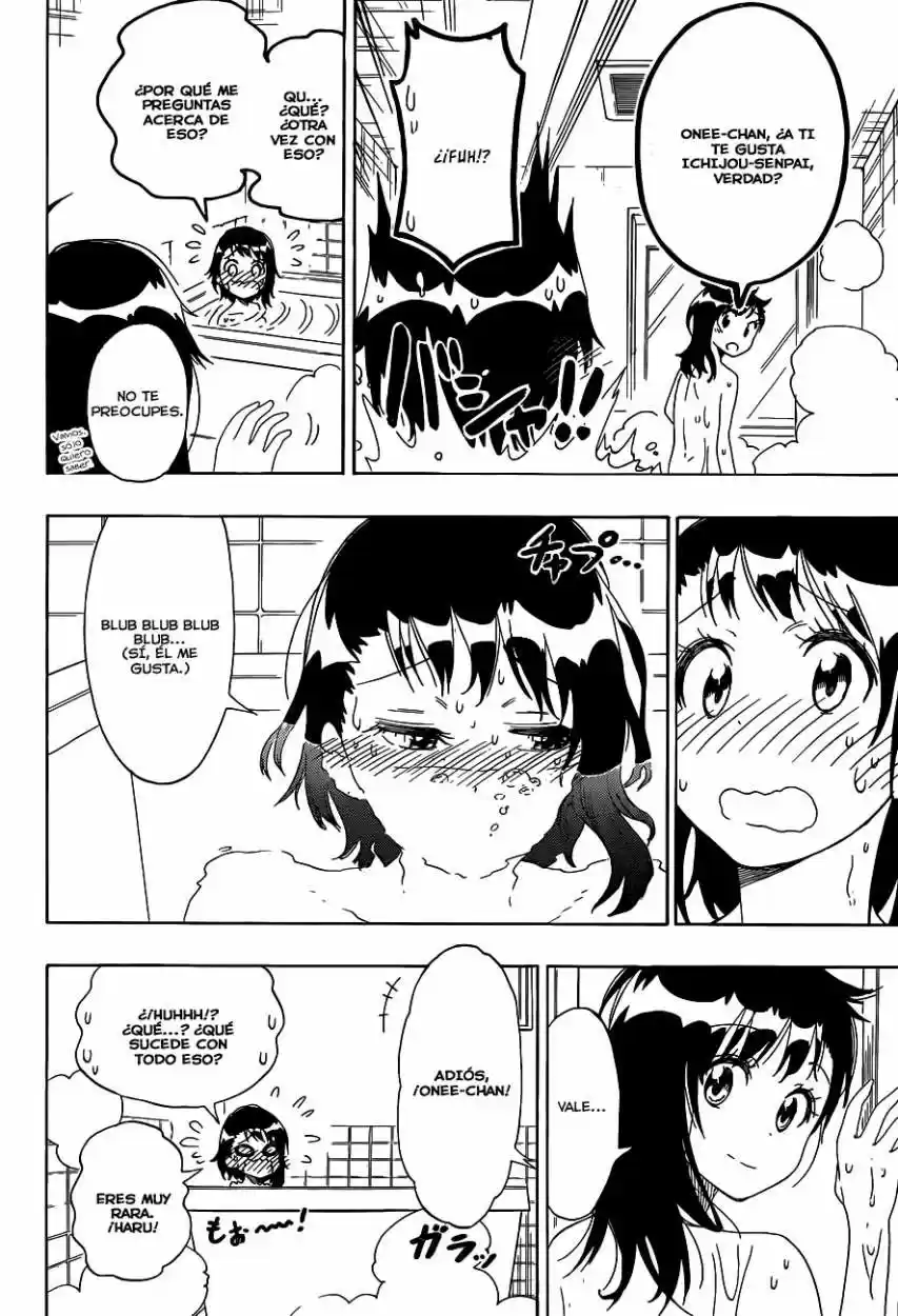 Nisekoi (2011) - Capítulo 109 - Página 17 - LectorTMOo