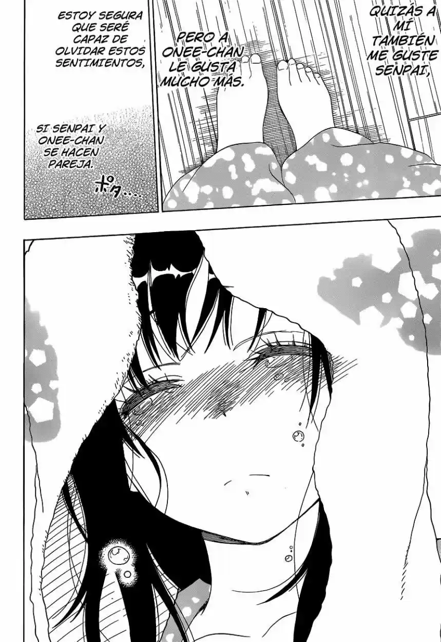 Nisekoi (2011) - Capítulo 109 - Página 19 - LectorTMOo
